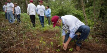 Convoca Raúl Morón A Michoacanos A Unirse Y Preservar El Medio Ambiente