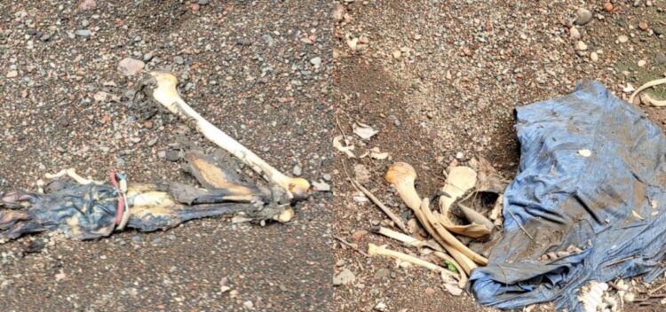 Socavón En La Carretera Apatzingán-Cuatro Caminos: Causa Paro Total