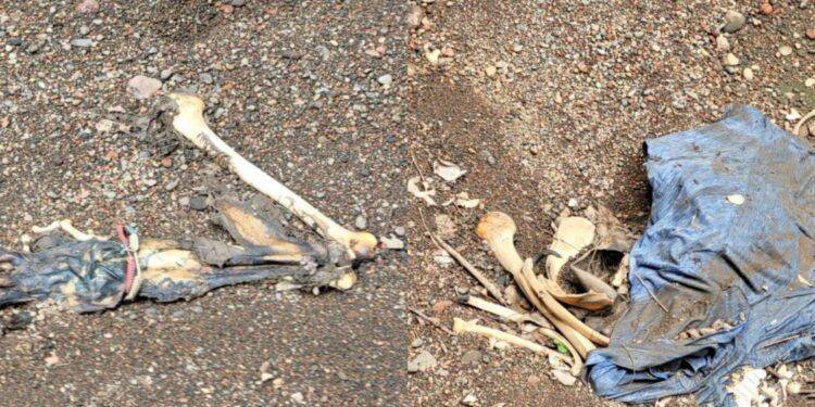 Descubren osamenta humana en barranco de Apatzingán 1 Socavón en la carretera Apatzingán-Cuatro Caminos: causa paro total