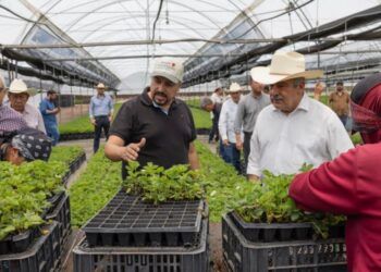 111 Municipios Entregan En Tiempo Su Informe Trimestral: Comisión Inspectora De La Asm