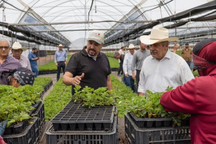 Periódico Michoacán | Noticias Relevantes De Apatzingán, Buenavista Y Morelia