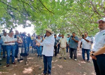 Legisladores Destacan Buenos Resultados En Primer Informe De Alfonso Martínez