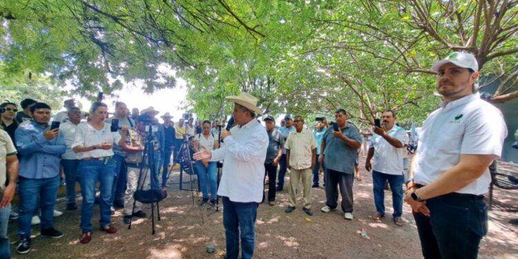 Carlos Manzo y Bernardo Bravo se reúnen con citricultores de Apatzingán: Exigen seguridad y apoyo ante crisis 1 Legisladores destacan buenos resultados en Primer Informe de Alfonso Martínez
