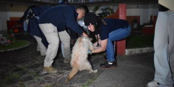 Jóvenes Michoacanos, Protagonistas De La Transformación Política: Ijumich