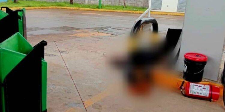 Camionero atropella y mata a empleada de gasolinera en Ario de Rosales 1 Nombra Torres Piña a José Antonio Cruz como nuevo Fiscal Coordinador de la FGE