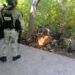 Ssp Y Defensa Destruyen Campamento Ilícito En Buenavista 23 111 Municipios Entregan En Tiempo Su Informe Trimestral: Comisión Inspectora De La Asm
