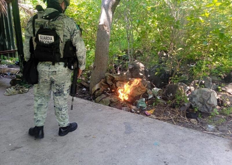 Ssp Y Defensa Destruyen Campamento Ilícito En Buenavista
