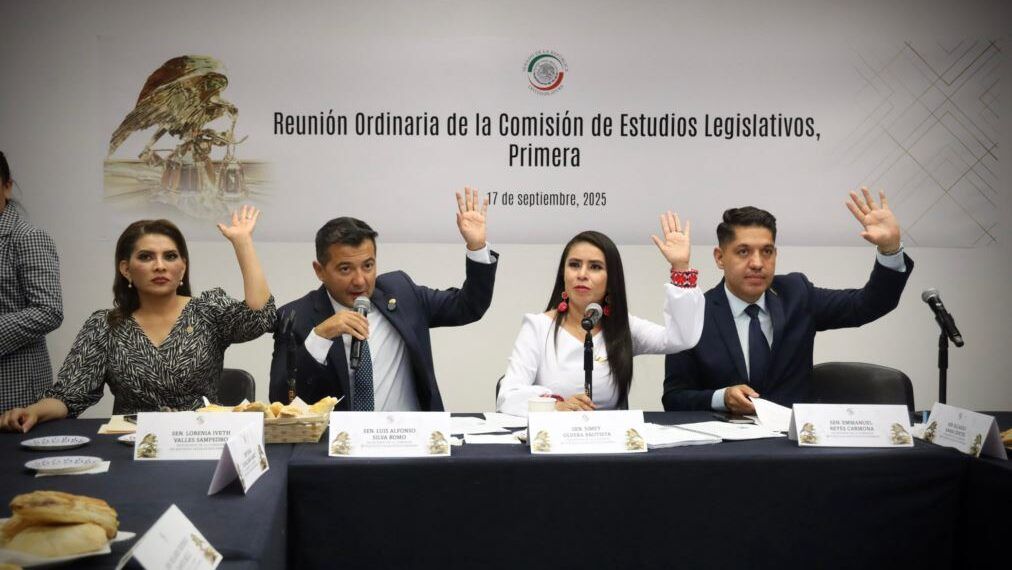 Aprueban Comisiones Iniciativa De Raúl Morón Para Modernizar Y  Volver Inclusivas Bibliotecas Públicas De México