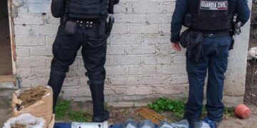 Por Delitos Contra El Ambiente, Fiscalía General Realiza Tres Cateos En Zinapécuaro