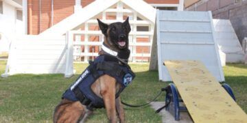 Construirá Imss 19 Centros De Educación Y Cuidado Infantil En Michoacán: Bedolla