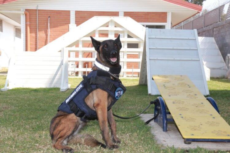 Construirá Imss 19 Centros De Educación Y Cuidado Infantil En Michoacán: Bedolla