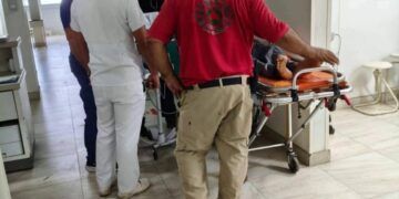 Por Delitos Contra El Ambiente, Fiscalía General Realiza Tres Cateos En Zinapécuaro