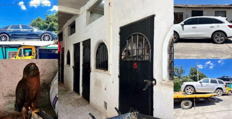 Fge Detiene A Tres Presuntos Responsables Del Homicidio De Un Hombre Ocurrido En Uruapan