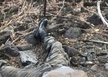 Nueva Scjn, Un Paso Firme Hacia Una Justicia Accesible: Bedolla