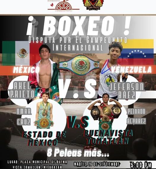 Roba grupo armado camioneta a la ex Diputada Brenda Fraga, en Uruapan