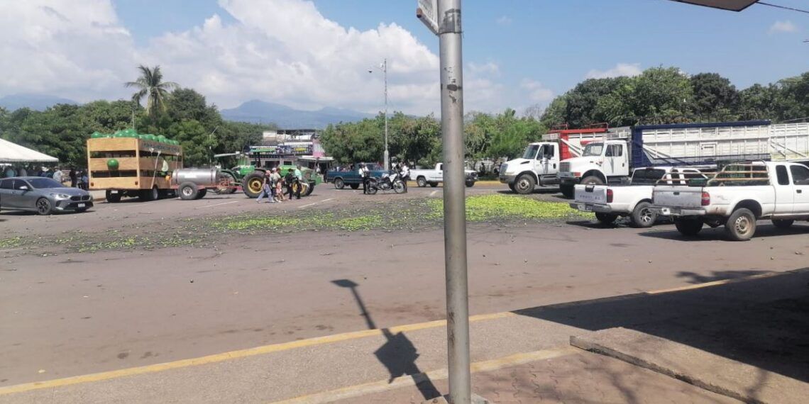 Citricultores Tiran Su Cosecha De Limón En Apatzingán Para Protestar Por Los Bajos Precios