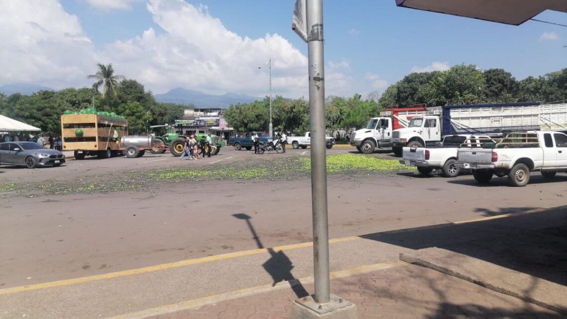 Periódico Michoacán | Noticias Relevantes De Apatzingán, Buenavista Y Morelia