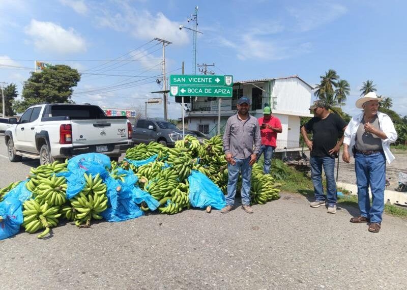 Crisis Agrícola En Michoacán Productores De Limón, Plátano Y Otros Cultivos Desperdician Cosechas Y Bloquean Carreteras En Protesta Masiva