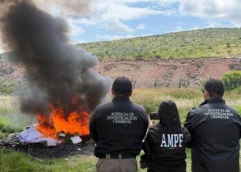 Incinera Fgr Más De 90 Kilos De Drogas Y Destruye Embarcaciones En Michoacán