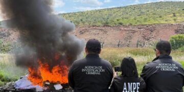 Incinera Fgr Más De 90 Kilos De Drogas Y Destruye Embarcaciones En Michoacán 27 Incinera Fgr Más De 90 Kilos De Drogas Y Destruye Embarcaciones En Michoacán