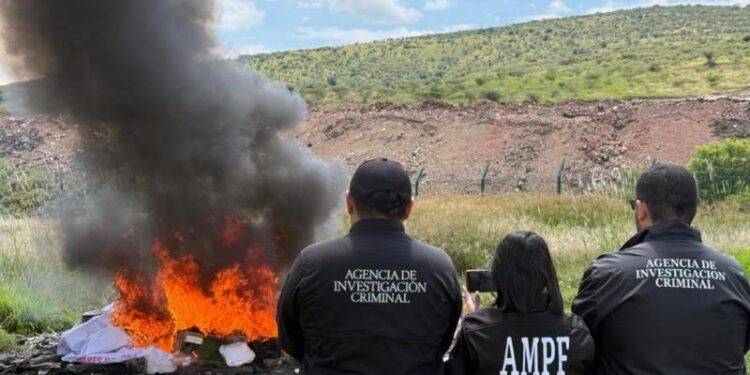Incinera FGR más de 90 kilos de drogas y destruye embarcaciones en Michoacán