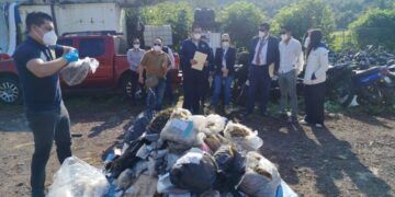 Fiscalía De Michoacán Lleva A Cabo Destrucción De Narcóticos En La Región Uruapan 2 Más De 163 Mil Michoacanos Ejercen Su Derecho Al Autogobierno En 48 Comunidades Indígenas