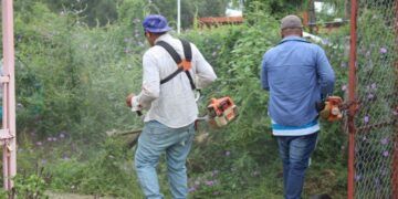 Irma Moreno Transforma Buenavista Con Acciones Que Unen Saneamiento Y Desarrollo Económico Familiar En Buenavista