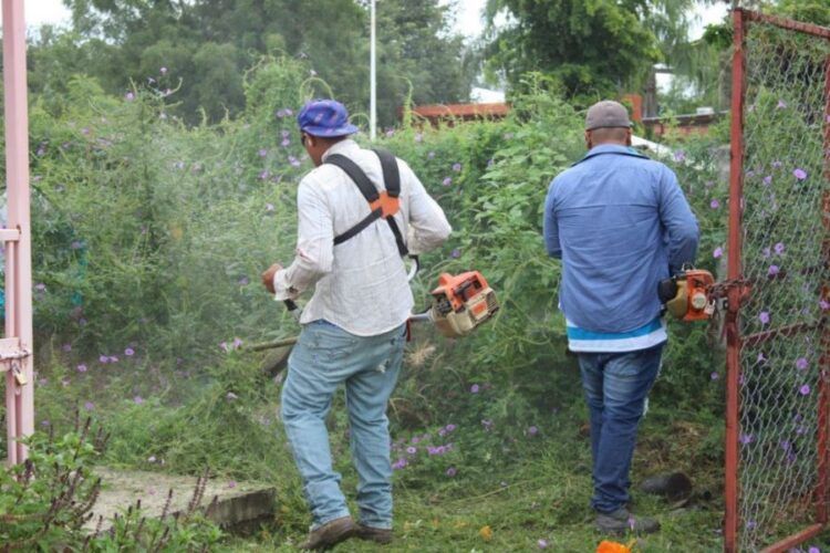 Periódico Michoacán | Noticias Relevantes De Apatzingán, Buenavista Y Morelia