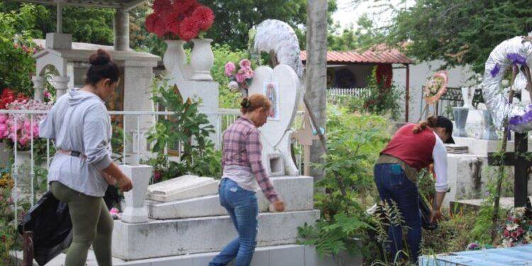 Irma Moreno Transforma Buenavista con Acciones que Unen Saneamiento y Desarrollo Económico Familiar en Buenavista