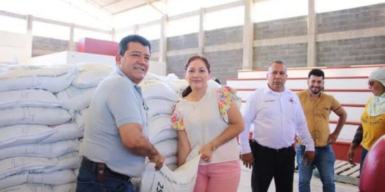 Más De Seis Mil Desfilaron En Apatzingán Para Conmemorar El 211 Aniversario Del Decreto Constitucional