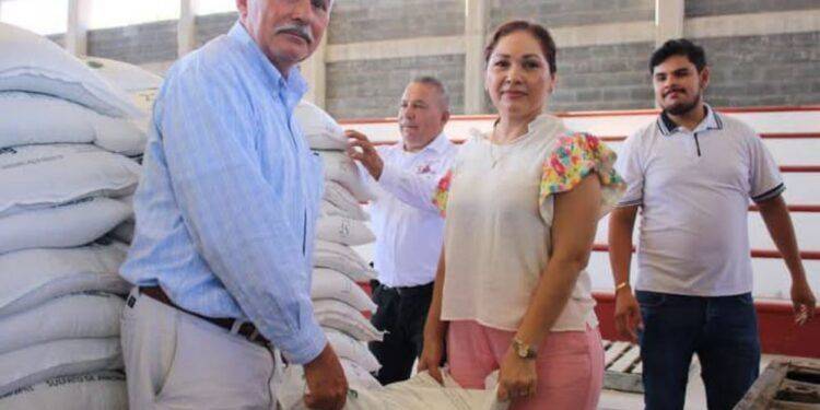 Más de seis mil Desfilaron en Apatzingán para Conmemorar el 211 Aniversario del Decreto Constitucional