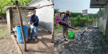 Buenavista Se Moviliza Contra Riesgos Sanitarios Tras Inundaciones: Una Prioridad De Salud Pública 14 Animal Film Fest Arranca Con Su Edición 2025 En Casa Natal De Morelos: Secum