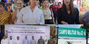 Tianguis Limonero Es Una Granada Sin Seguro  Y La Negligencia Del Director De La Expoferia 1 Consejera Carol Arellano Impulsa Desde La Red Cívica Mx Propuestas Para Fortalecer La Educación Cívica En La Reforma Electoral