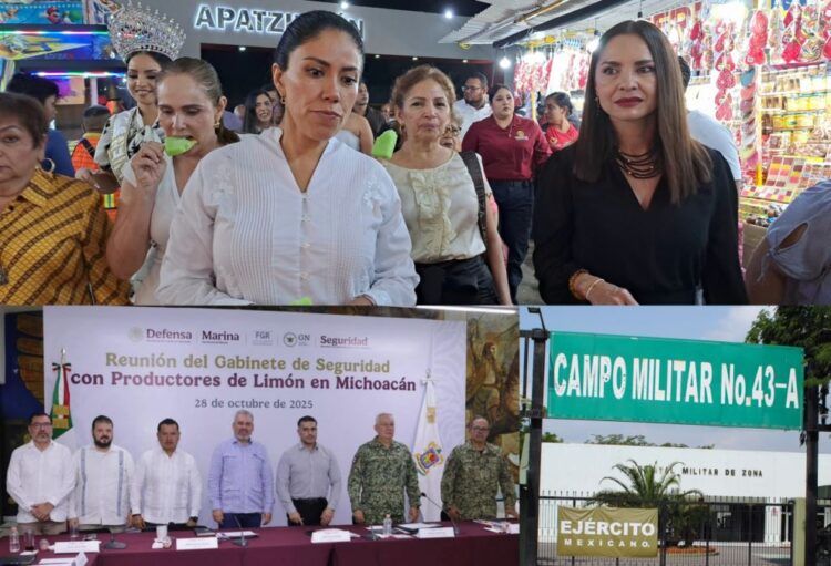 Tianguis Limonero Es Una Granada Sin Seguro Y La Negligencia Del Director De La Expoferia 20 Consejera Carol Arellano Impulsa Desde La Red Cívica Mx Propuestas Para Fortalecer La Educación Cívica En La Reforma Electoral