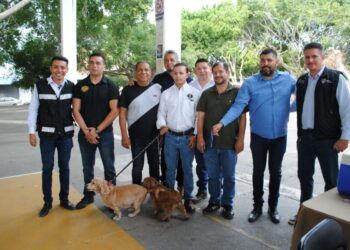 Borrador Automático