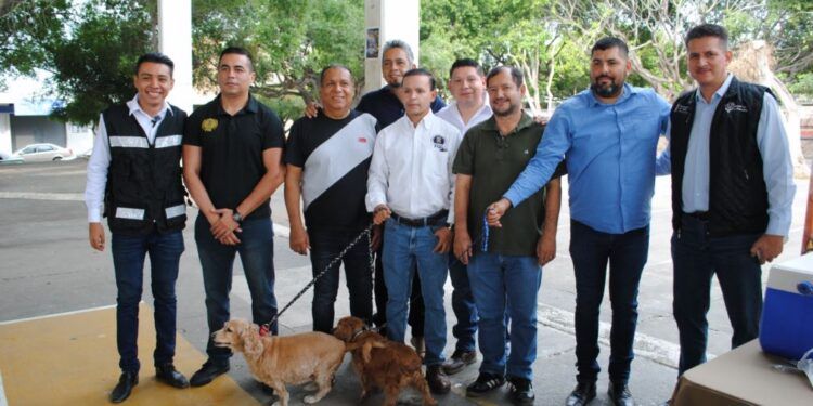 Anuncia Francisco Aguilar Apoyo Constante A Refugios Animales