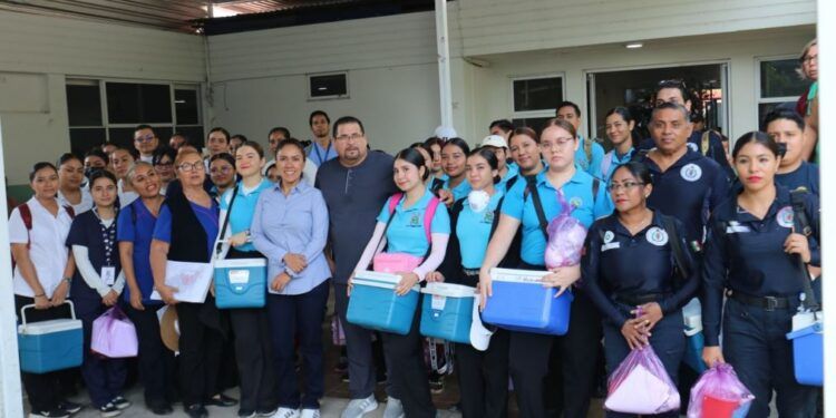 Fuerzas Estatales Y Federales Aseguran Ametralladora Y 11 Fusiles En Huetamo: Ssp