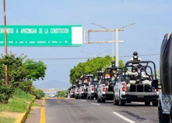 Fuerzas Estatales Y Federales Aseguran Ametralladora Y 11 Fusiles En Huetamo: Ssp