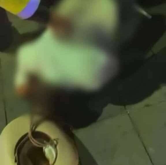 Fanny Arreola cierra la expo feria octubrina junto a Pancho Barraza