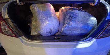 En Zitácuaro, Un Detenido Con 30 Kilos De Mota, Y No Era Para Remedio 18 Acuerda Bedolla Con Transportistas, Condonaciones Y Descuentos Para El Buen Fin