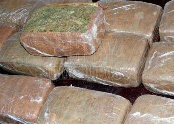 Reitera Alfonso Martínez, Ante Autoridades Federales: Urge Fortalecer Policías Municipales Y Fiscalía