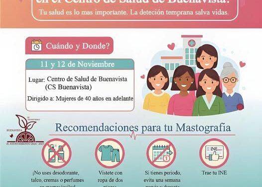 Fuerzas estatales y federales aseguran ametralladora y 11 fusiles en Huetamo: SSP