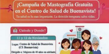 Fuerzas Estatales Y Federales Aseguran Ametralladora Y 11 Fusiles En Huetamo: Ssp