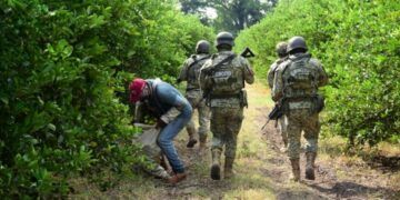 Habrá Descuento Del 50% En Licencias De Conducir Del Servicio Público: Itransporte