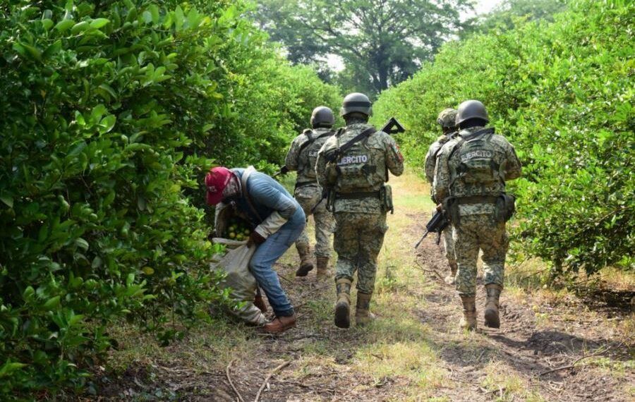 ¡Atención! Operativo &Quot;Limón Con Sal Y... Pólvora&Quot; Se Instala En Apatzingán