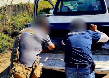 Muere Aguacatero En Hospital, Tras Estallarle Explosivo Improvisado Terrestre En Huerta De Cotija