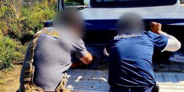 Muere Aguacatero En Hospital, Tras Estallarle Explosivo Improvisado Terrestre En Huerta De Cotija