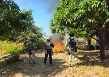 Operación &Quot;Fantasma&Quot; Desmantelan 4 Campamentos Clandestinos... ¡Pero Los Malos No Vinieron A La Fiesta!
