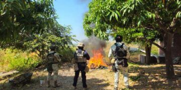 Operación &Quot;Fantasma&Quot; Desmantelan 4 Campamentos Clandestinos... ¡Pero Los Malos No Vinieron A La Fiesta!
