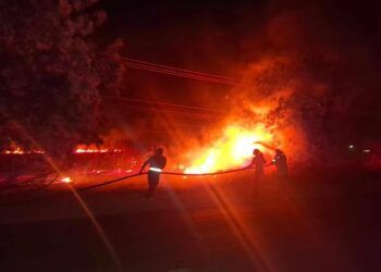 Borrador Automático